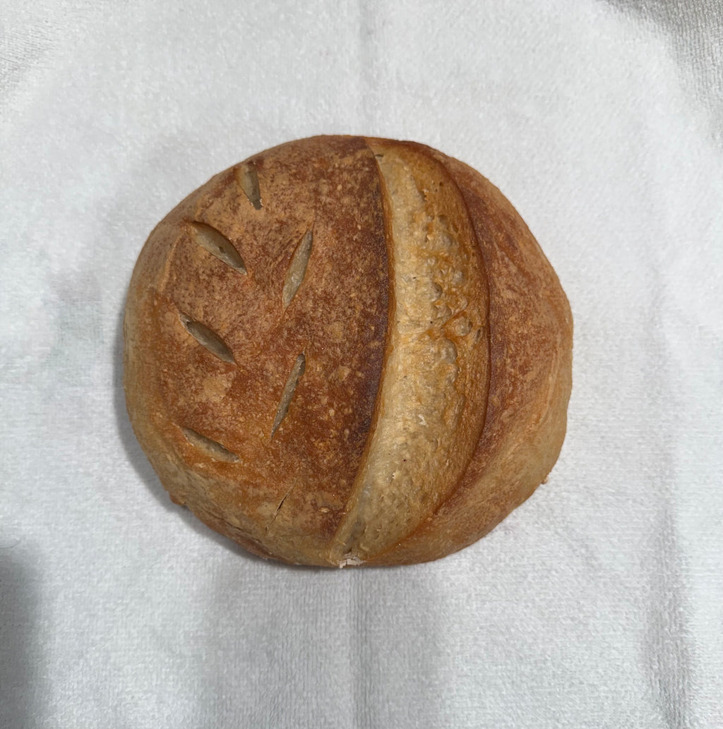 Gluten Free Sourdough