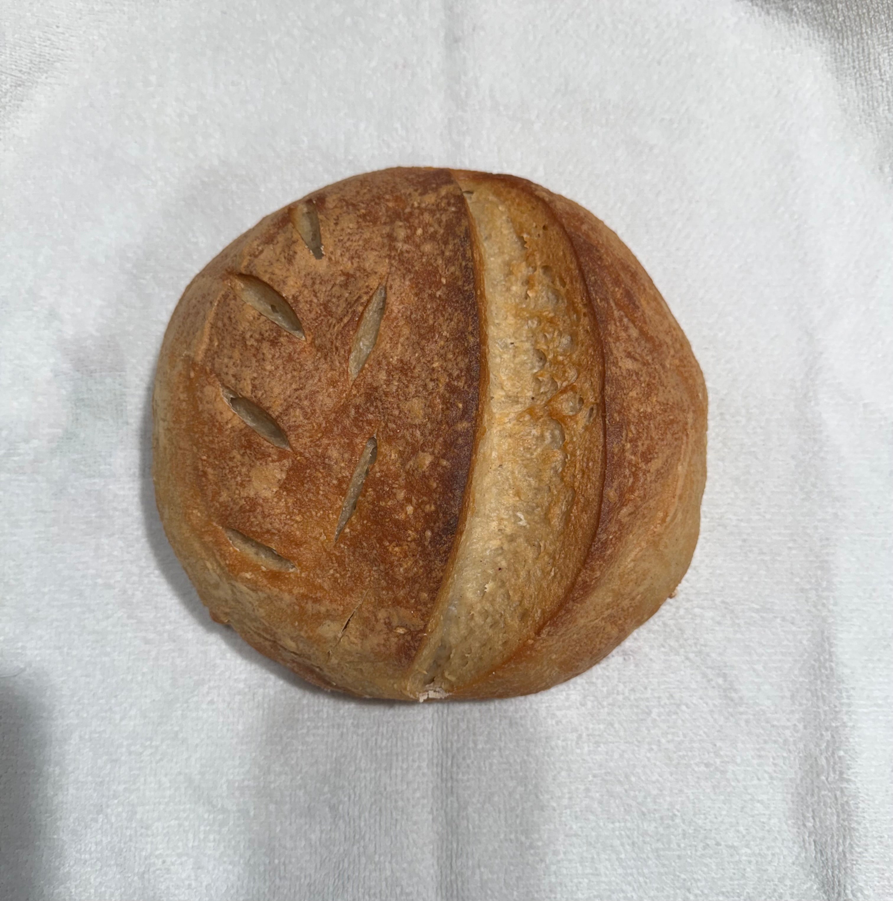 Gluten Free Sourdough
