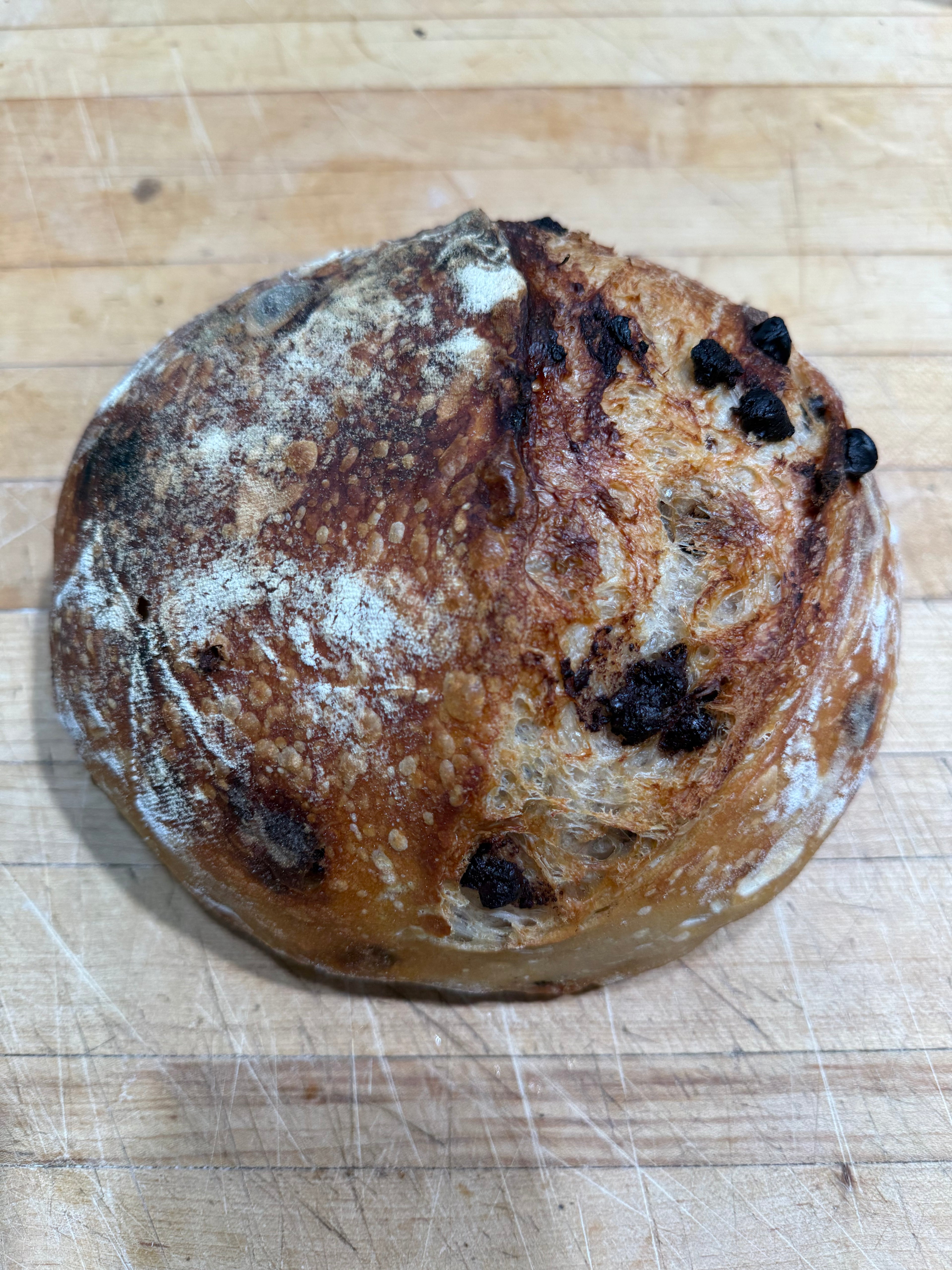 Chocolate Chip Sourdough